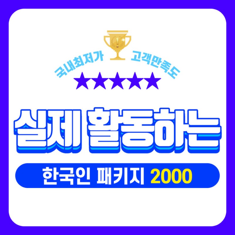 실제 활동하는 한국인 패키지 2000